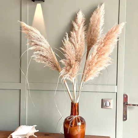 La Fleur De Sauzelle Saint-Georges-d'Oleron